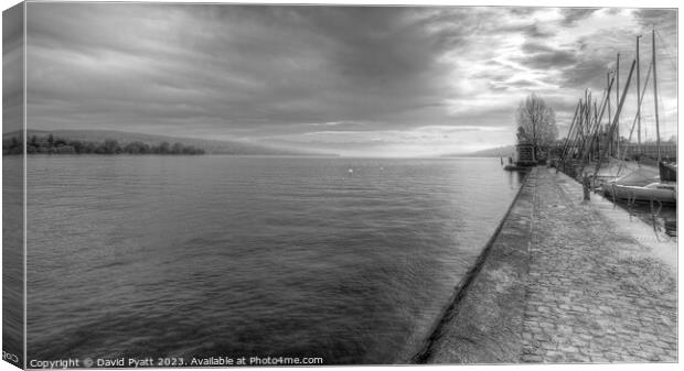 Lake Zurich Switzerland Panorama Canvas Print by David Pyatt