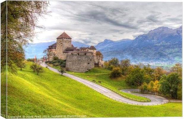 Vaduz Castle Liechtenstein  Canvas Print by David Pyatt