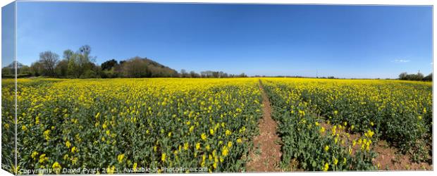 Somerset Fields Of Summer Panorama Canvas Print by David Pyatt