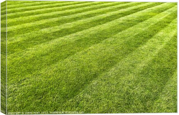 Striped Lawn Abstract Canvas Print by David Pyatt