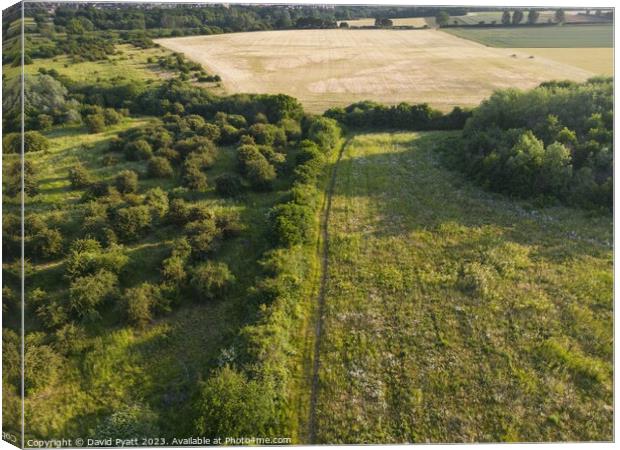 English Countryside Aerial Vista Canvas Print by David Pyatt