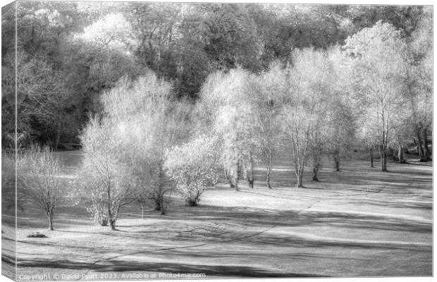 Dartmoor Morning Frost Vista Canvas Print by David Pyatt