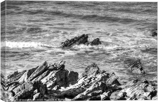 Cornwall Rocks Breaking Waves Canvas Print by David Pyatt