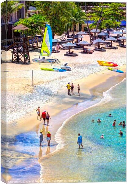 St Lucia Summer Beach Vista Canvas Print by David Pyatt