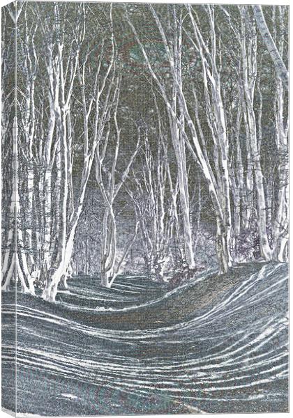 artistic tree art Canvas Print by David Pyatt