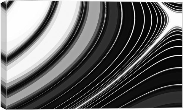 Abstract curve art Canvas Print by David Pyatt