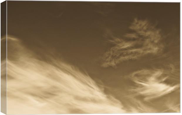 Coffee Clouds Canvas Print by David Pyatt