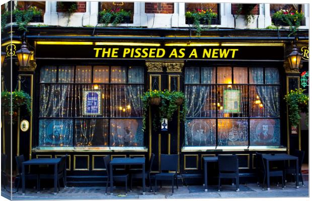 Pissed as a Newt Pub Canvas Print by David Pyatt