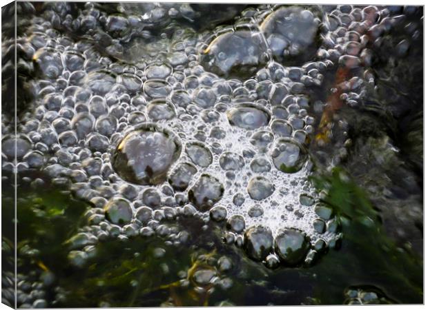 Bubbles Canvas Print by David Pyatt