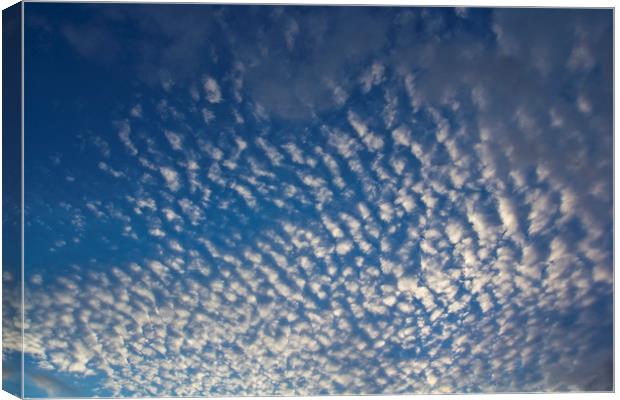 In the Clouds Canvas Print by David Pyatt