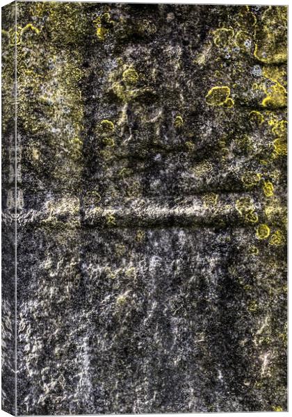 Grave Stone Skull Canvas Print by David Pyatt