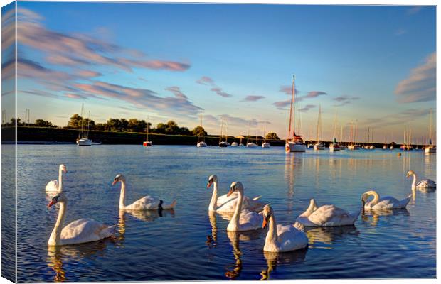 The River Crouch Essex Canvas Print by David Pyatt