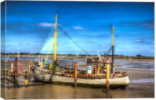 The Ranger Heybridge Canvas Print by David Pyatt