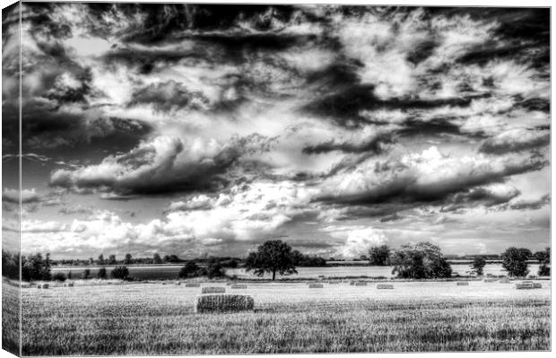 The English Summer Farm Canvas Print by David Pyatt