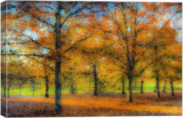 Greenwich Park Autumn Art Canvas Print by David Pyatt