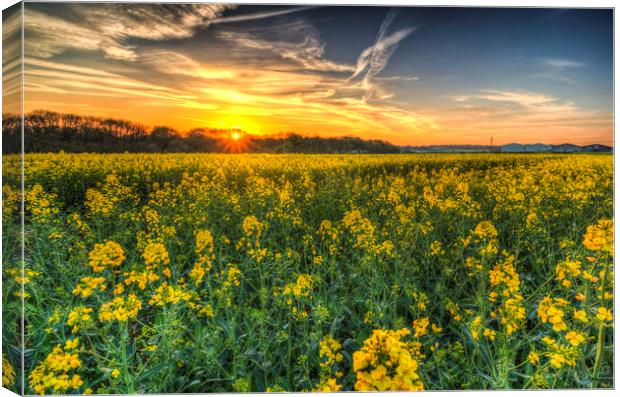 The April Farm Canvas Print by David Pyatt