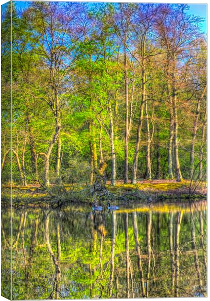 Reflections From The Pond Canvas Print by David Pyatt