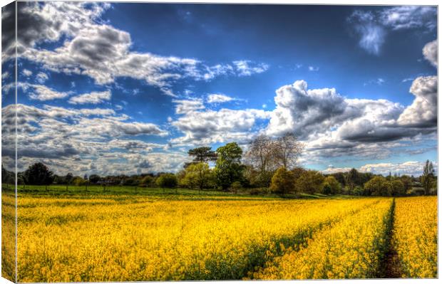  The Farm In Summer Canvas Print by David Pyatt