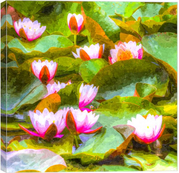 Water Lily Art Canvas Print by David Pyatt