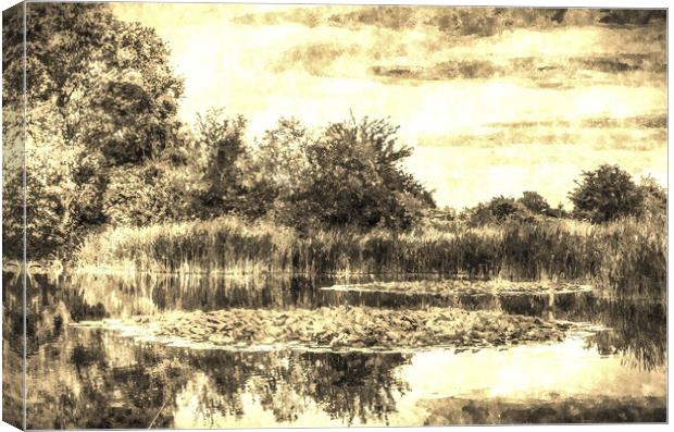 The Lily Pond Vintage Canvas Print by David Pyatt