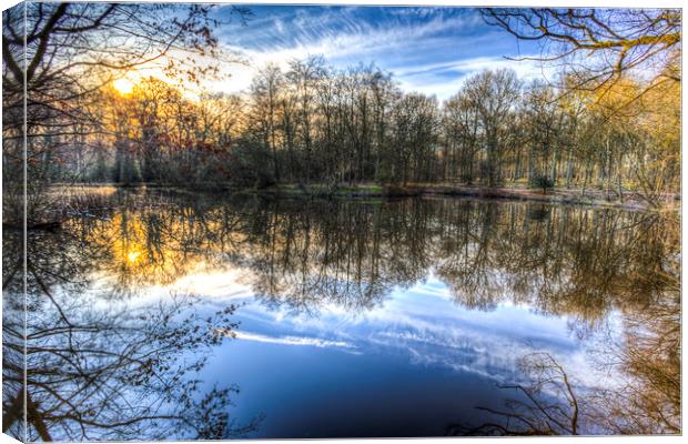 Early Morning Forest Pond Canvas Print by David Pyatt