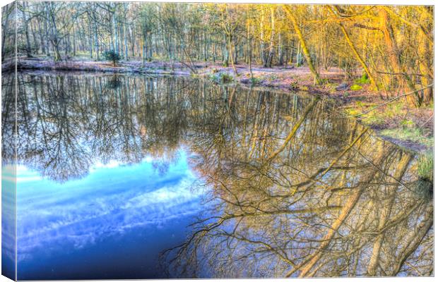 Peaceful Pond Reflections  Canvas Print by David Pyatt