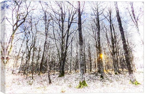 Sunrise Snow Forest Art Canvas Print by David Pyatt