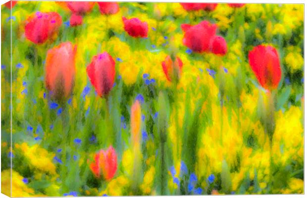 Pastel Summer Flowers  Canvas Print by David Pyatt
