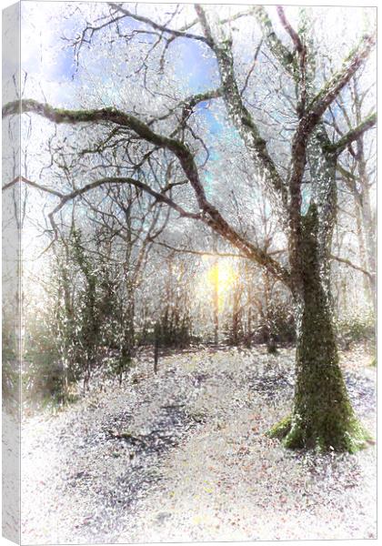 The Snow Forest Art Canvas Print by David Pyatt