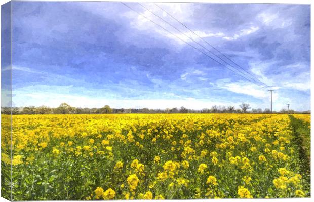 Yellow Fields Of Summer Art Canvas Print by David Pyatt