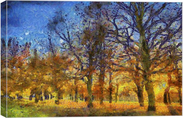 Sunset Trees Art Canvas Print by David Pyatt