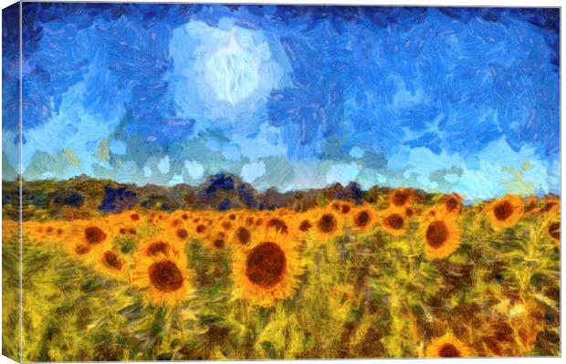 Sunflower Fields Van Gogh Canvas Print by David Pyatt