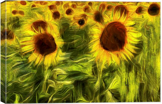 Sunflowers Abstract Van Gogh Canvas Print by David Pyatt