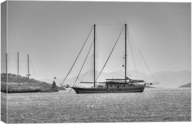 Schooner Yalikavak Marina Bodrum Canvas Print by David Pyatt