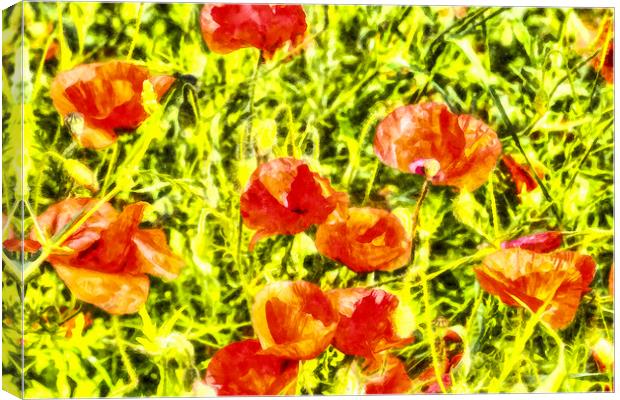 Poppy Watercolour Art Canvas Print by David Pyatt