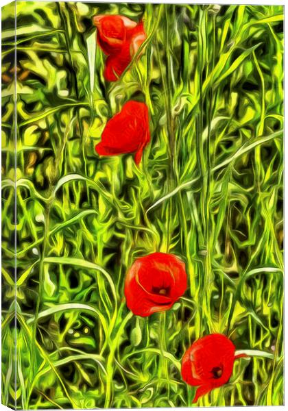 Poppys Van Gogh Art Canvas Print by David Pyatt