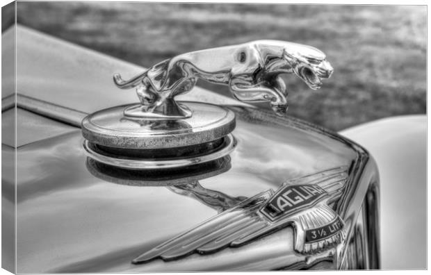 Jaguar Classic Car Canvas Print by David Pyatt