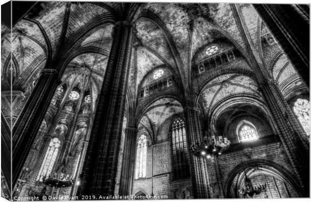 Barcelona Cathedral Monochrome Canvas Print by David Pyatt