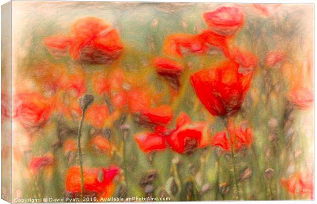 Summer Poppy's Art Canvas Print by David Pyatt
