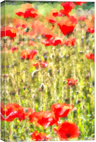 Monet Poppy Meadow Canvas Print by David Pyatt