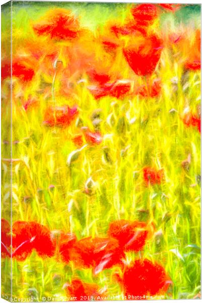 Poppy Meadow Dreams Canvas Print by David Pyatt