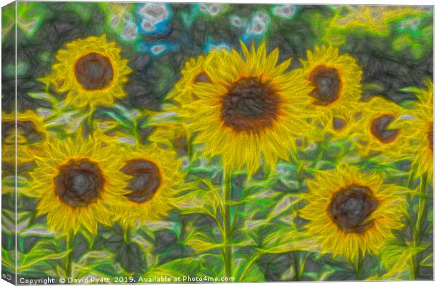 Art Of The Sunflower Canvas Print by David Pyatt