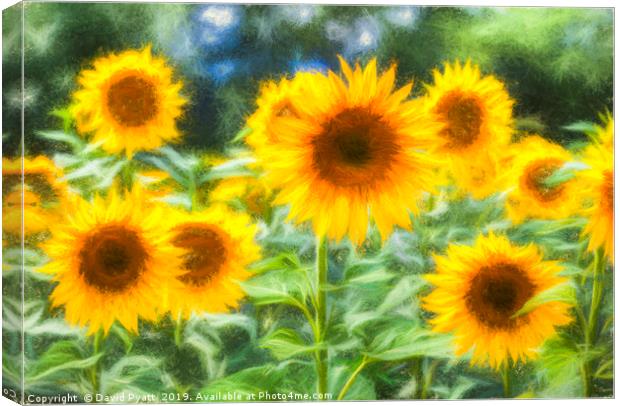 Art Of The Sunflower Turner Canvas Print by David Pyatt