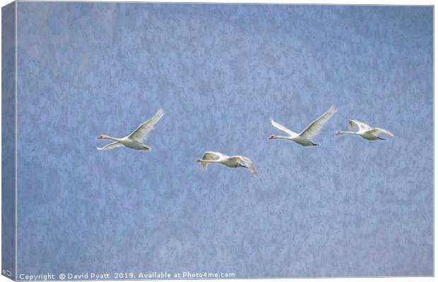 Flying Swans Art Canvas Print by David Pyatt