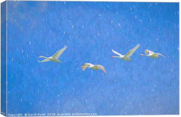 Swans Flying Art Canvas Print by David Pyatt