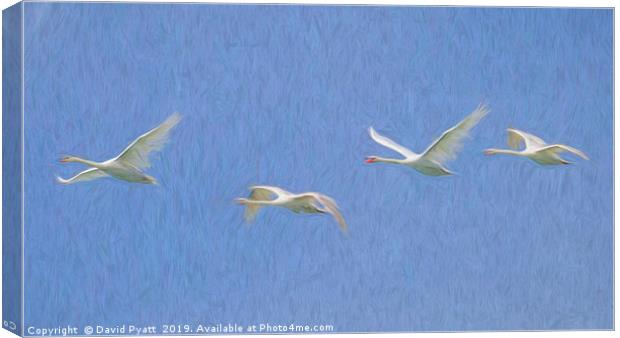 Flying Swans Art Panorama  Canvas Print by David Pyatt