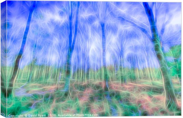 Mystical Forest Art Canvas Print by David Pyatt