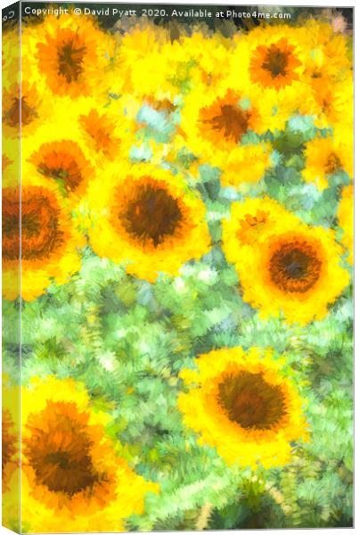 Painterly Sunflower Field Canvas Print by David Pyatt