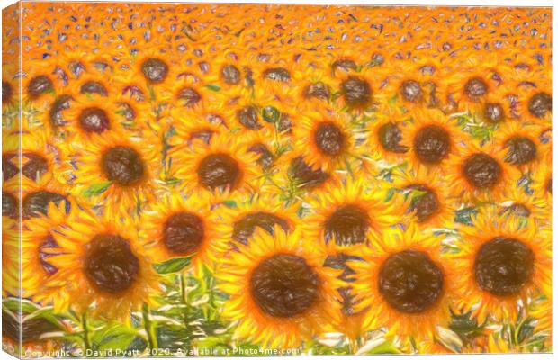 Sunflower Field Of Dreams  Canvas Print by David Pyatt