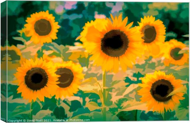Sunflower Field Art  Canvas Print by David Pyatt